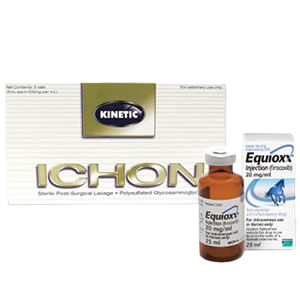 Horse joint pain inflammation