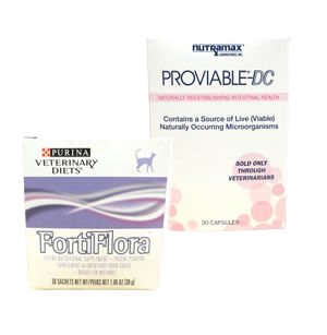 Cat probiotics