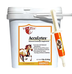 Horse electrolytes