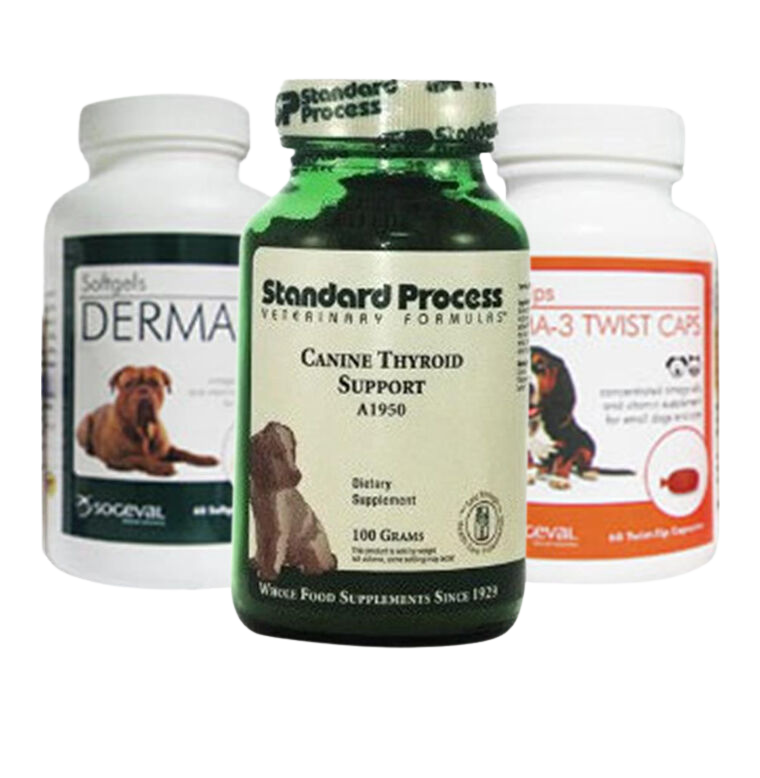 Dog immune support