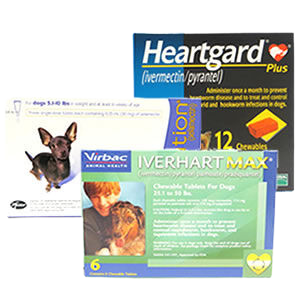 Dog heartworm