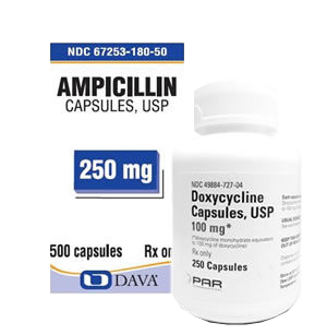Horse antibiotics