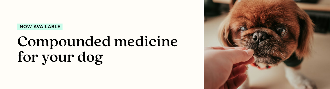 Dog Compounded Medications