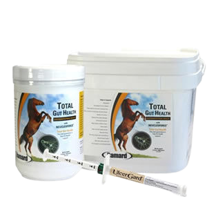 Horse digestive supplements