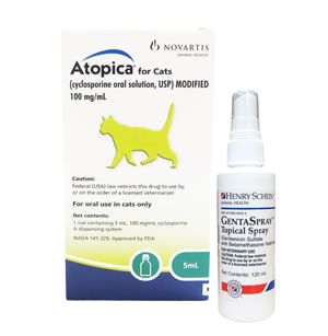 Cat allergy & skin medication