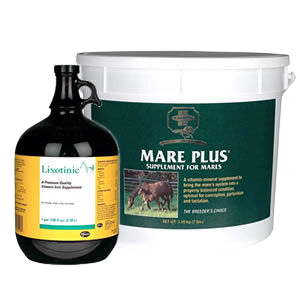 Mare and foal supplements