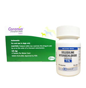 Dog Rx miscellaneous